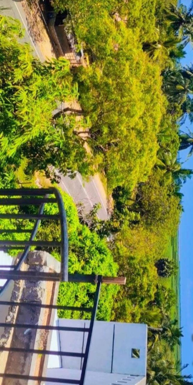 Bundala Swan Cottages هامبانتوتا المظهر الخارجي الصورة