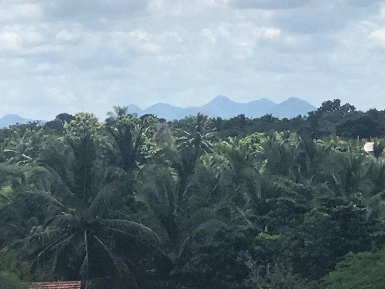 Bundala Swan Cottages هامبانتوتا المظهر الخارجي الصورة